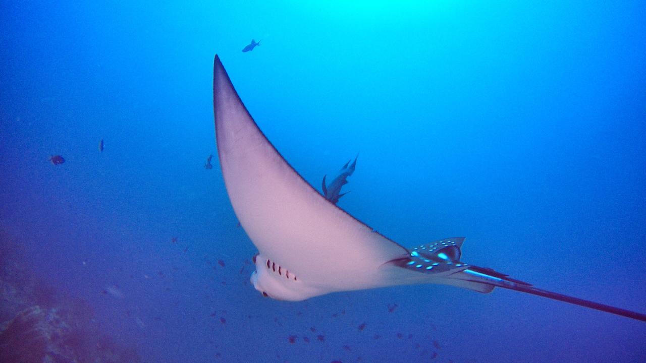 Athiri Beach Maldives Dhigurah  Exteriér fotografie