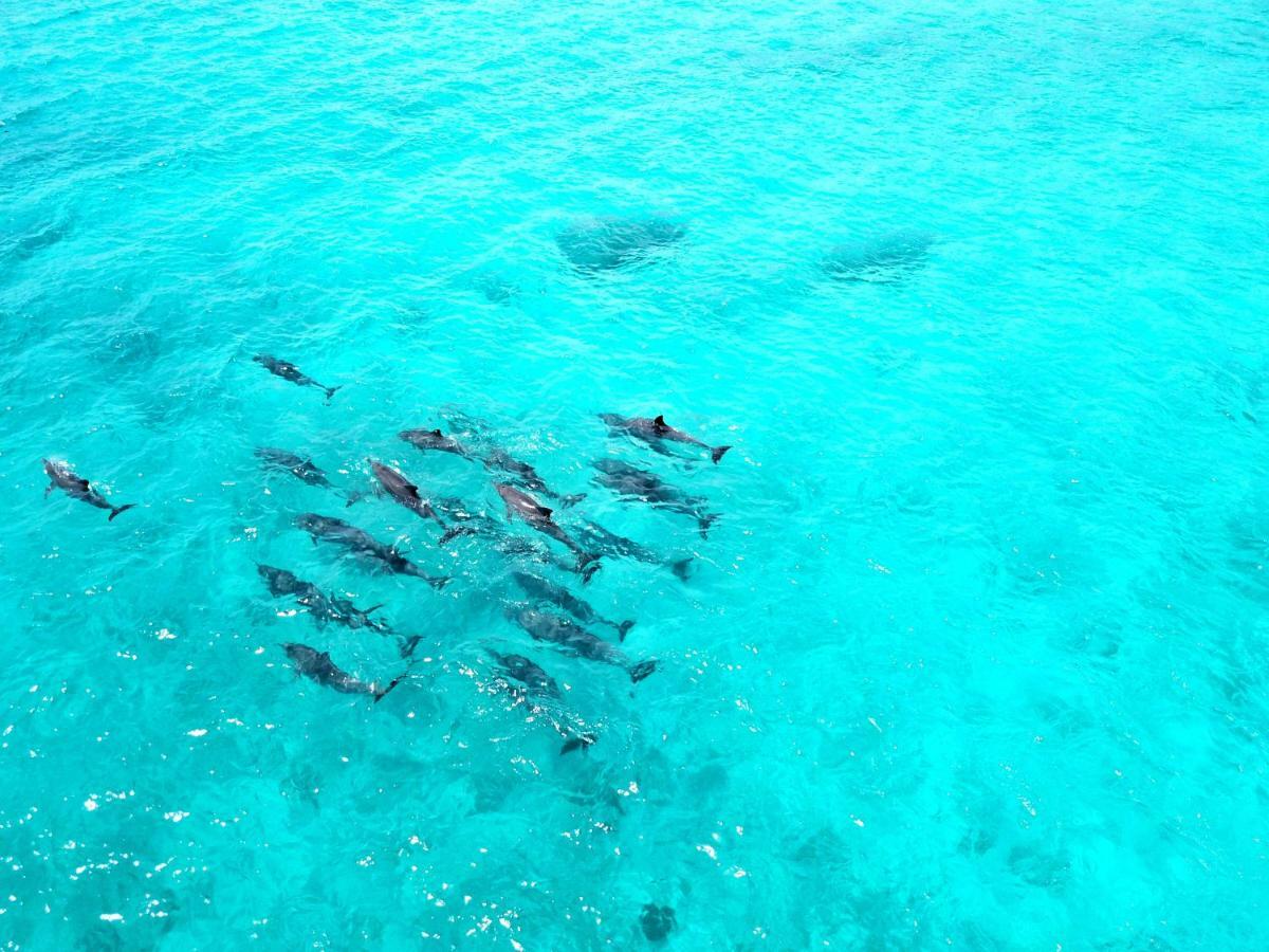 Athiri Beach Maldives Dhigurah  Exteriér fotografie