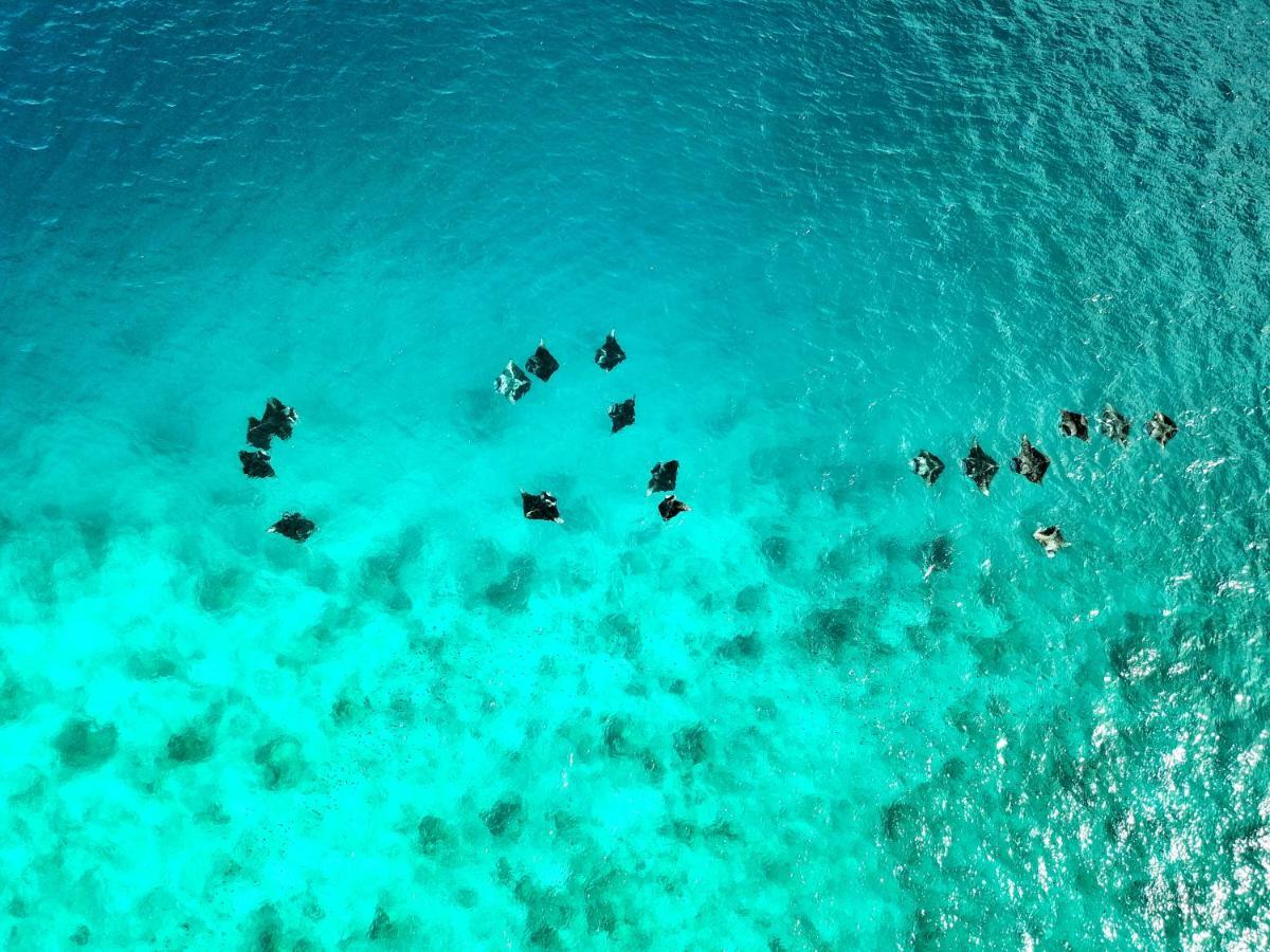 Athiri Beach Maldives Dhigurah  Exteriér fotografie