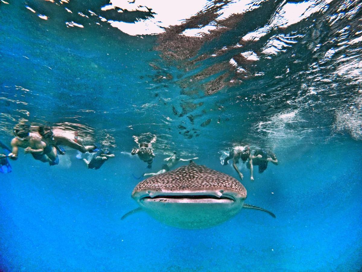 Athiri Beach Maldives Dhigurah  Exteriér fotografie